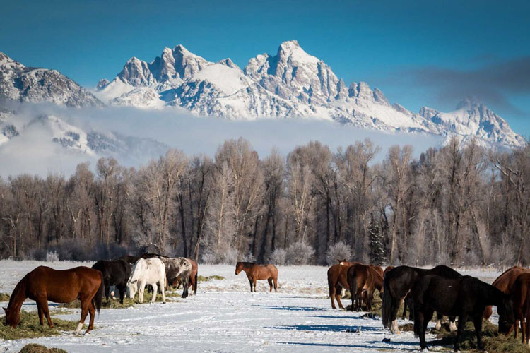 Jackson Hole