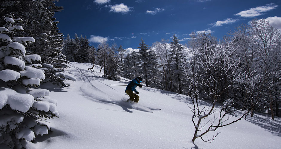 Best Resorts for Skiing on a Budget (Shiga Kogen)