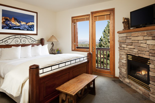 One Bedroom Condo