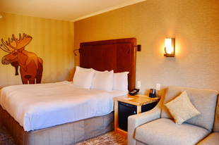 Superior Hotel Room