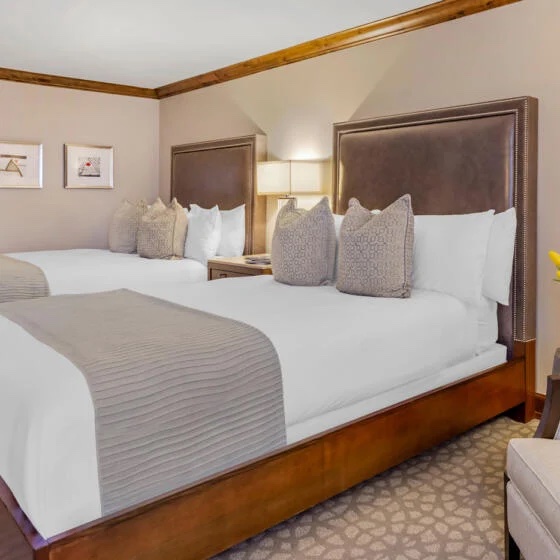Luxury Plaza Room