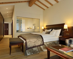 Alpine Style Room