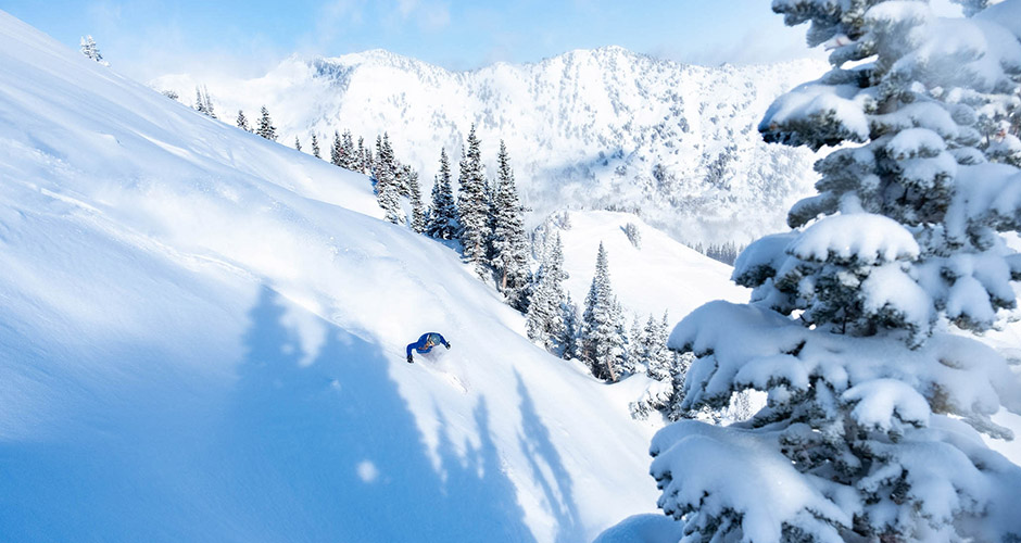 Skier Jacquilin Pollard gets some fresh turns. Photo: Iz La Motte, Alta Ski Resort