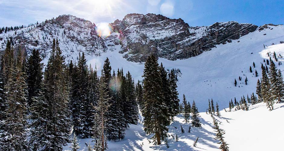 Alta has tons of awesome terrain. Photo: Rocko Menzyk, Alta Ski Resort