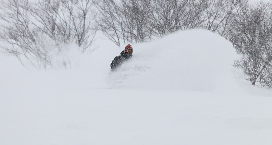 Face shots a-plenty. Photo: Scout.