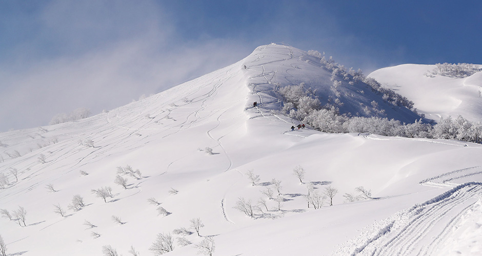 The hike-to bowl at the top of the resort.  Photo: Lotte Arai