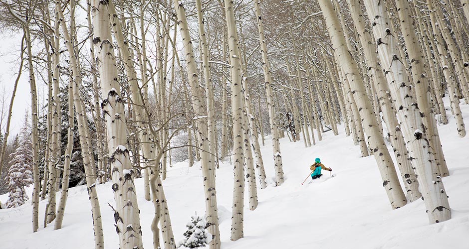 Skiing in amongst the Aspen trees. Photo: Aspen Ski Resort, Jeremy Swanson