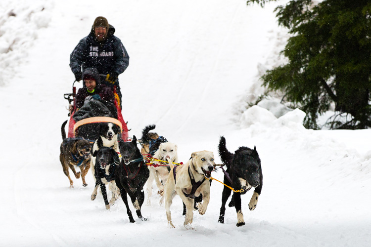 Photo: Mt Bachelor Ski Resort