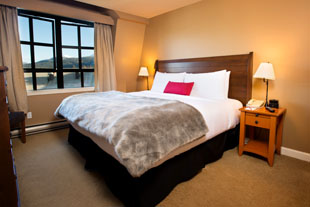 Suite, 1 Bedroom, Valley View