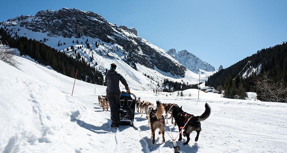 Dog sledding in Courchevel. Photo: Courchevel Tourism