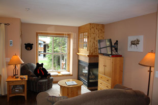 1 Bedroom Condo
