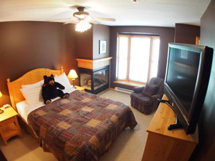 3 Bedroom Condo