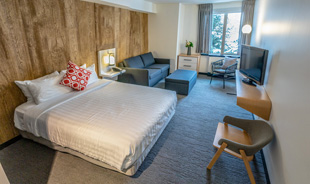 Deluxe Room, 1 Queen Bed with Sofabed