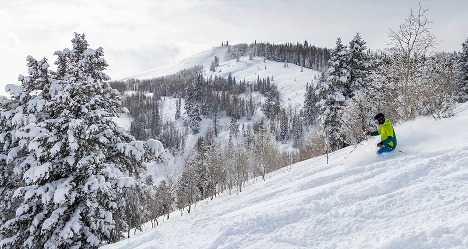 Enjoying the powder in the trees. Photo: Alterra Mountain Company