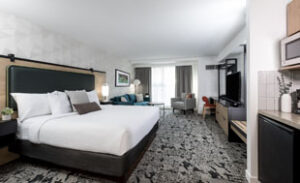 Deluxe Studio (1 King Bed)