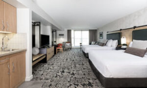 Deluxe Studio (2 Queen Beds)