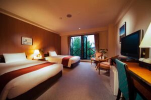 Superior Twin/Triple Room