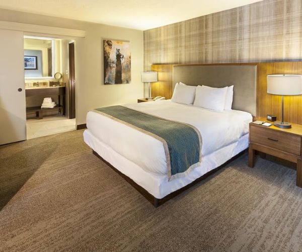 1 Bedroom Suite