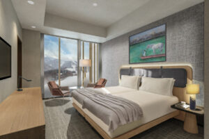 Superior Hotel Room