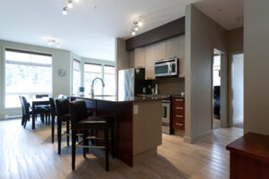 2 Bedroom Premium (1 Bathroom plus Hot Tub)