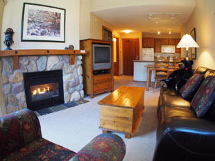 1 Bedroom Condo