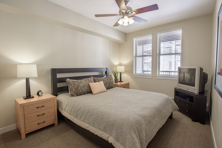 One Bedroom Suite (Kitchenette)