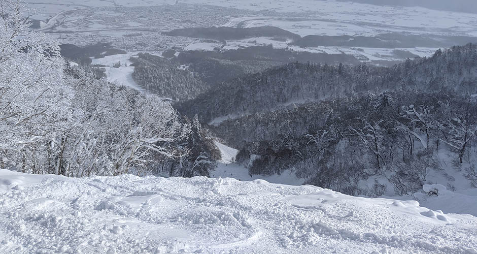 The powder at Furano is light and dry. Photo: Scout