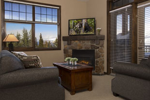 Standard Apartment, 1 Bedroom