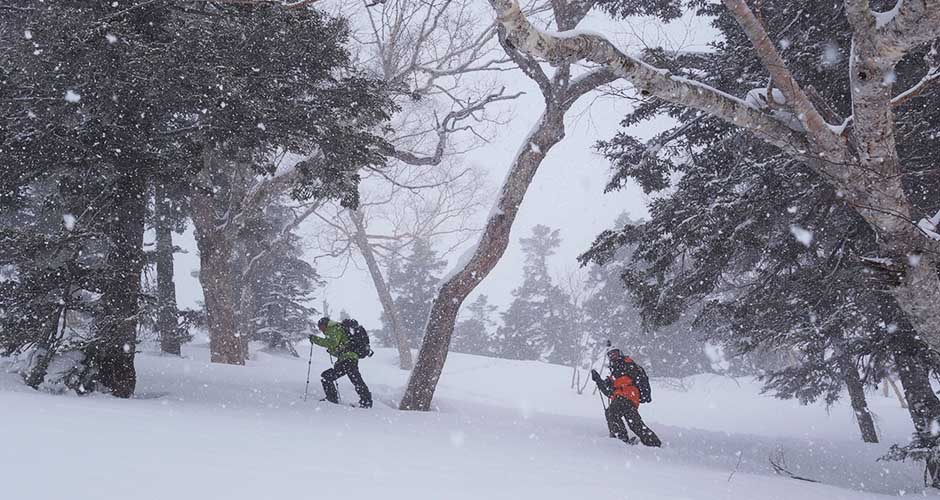 Backcountry skiing is great in the Hakuba Valley. Photo: Scout