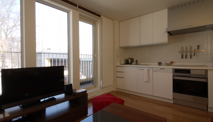 1 Bedroom 1 Bathroom Apartment