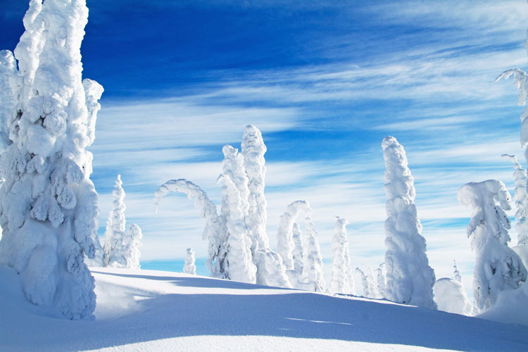 Photo: Silver Star Mountain Resort