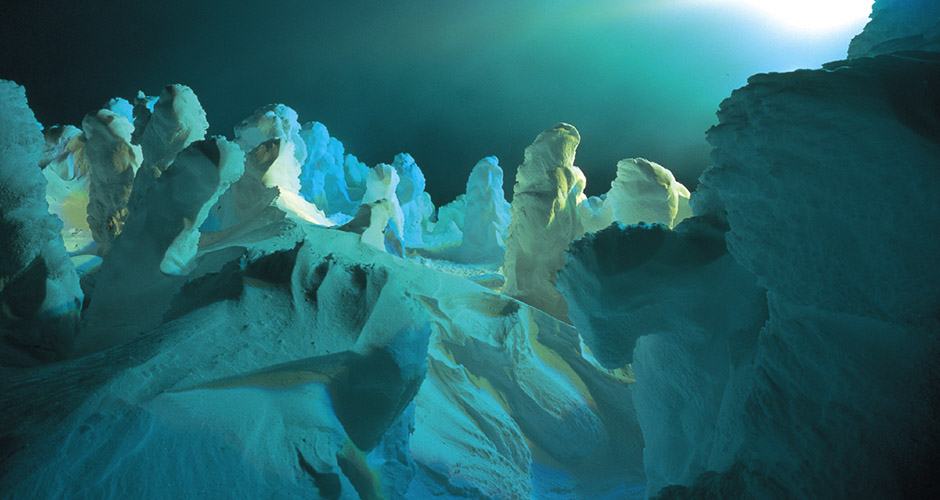 Snow Monsters at night! Photo: Zao Onsen Tourism