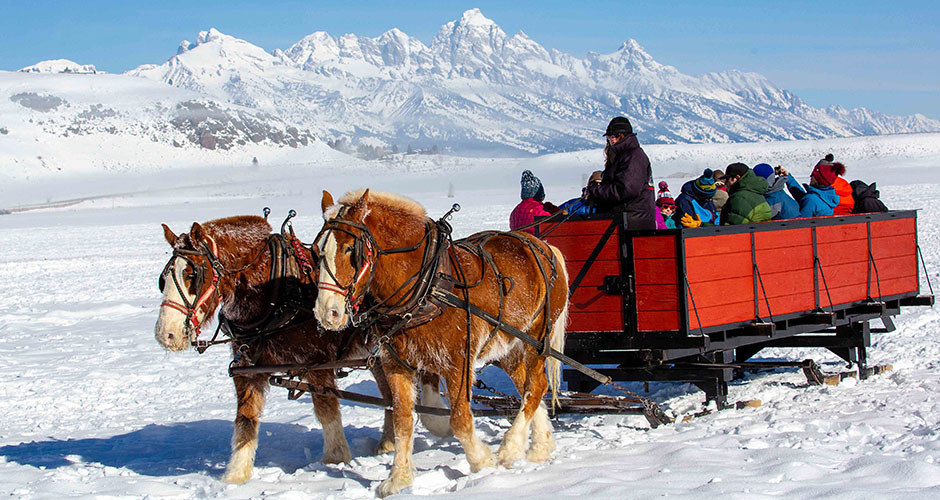 Visiting the Elk Refuge is a great day out. Photo: Jackson Hole Mountain Resort