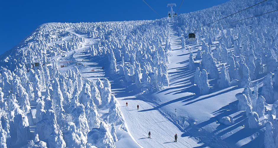 Ski among the snow monsters at Zao Onsen! Photo: Zao Onsen Tourism