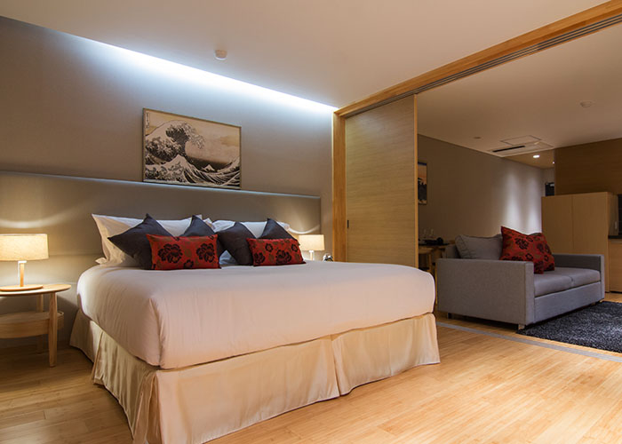 One Bedroom Apartment Type B
