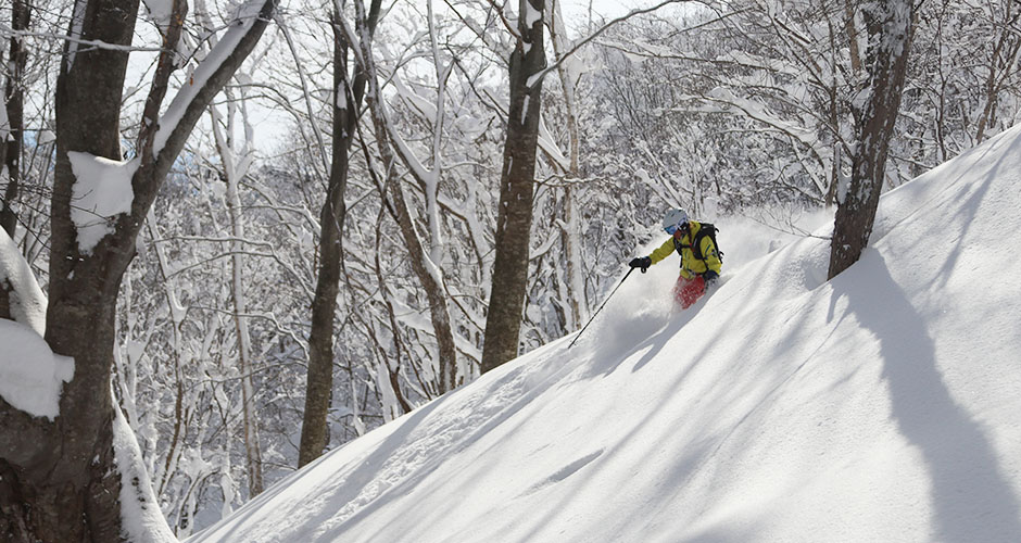 Skiing powder through the trees is quite acceptable. Photo: Scout