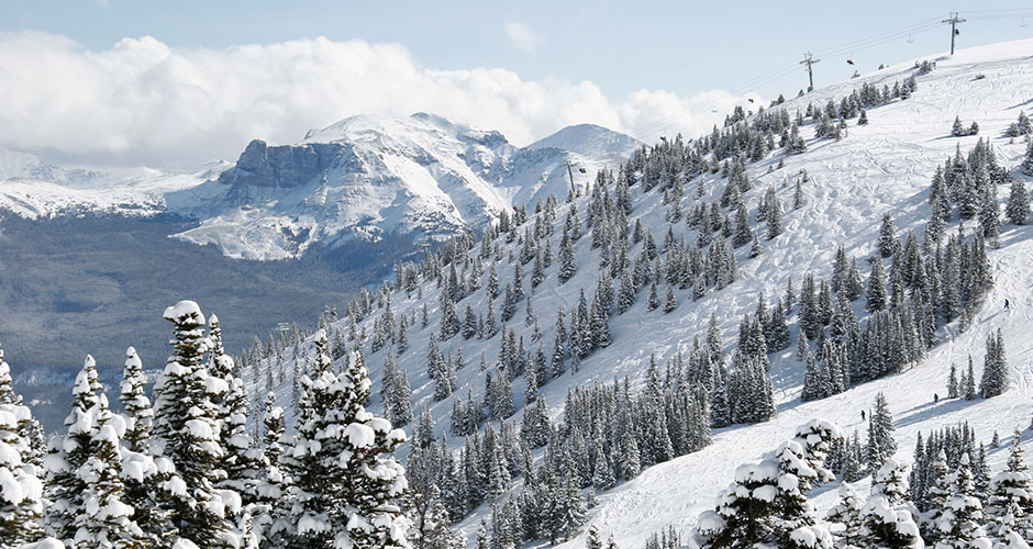 Some of the awesome gladed terrain. Photo: Marmot Basin Ski Resort