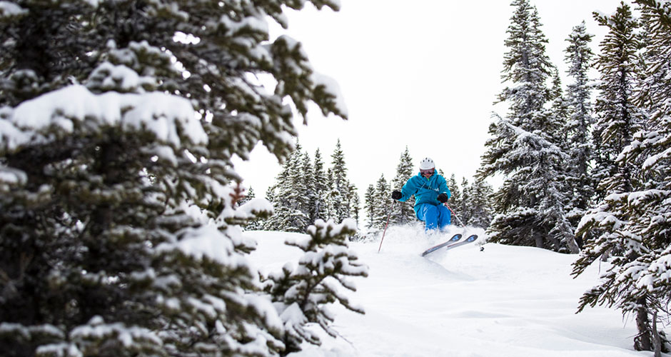 Great tree skiing at Marmot. Photo: Marmot Basin Ski Resort