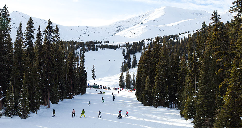 Plenty of cruisy groomers for beginners. Photo: Marmot Basin Ski Resort