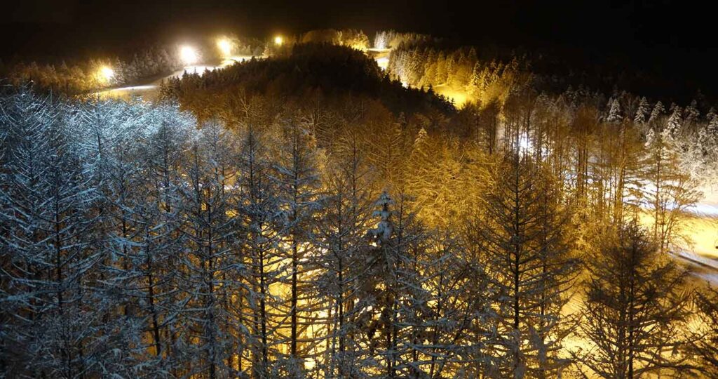 Night Skiing at the Furano Zone. Photo: Scout