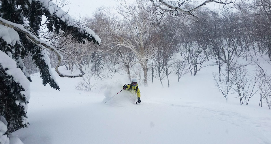Powder day at Niseko Moiwa. Photo: Scout