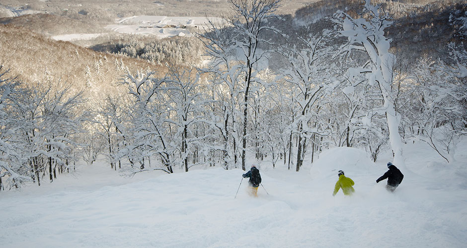 Finding powder in the trees. Photo: Niseko Hanozono