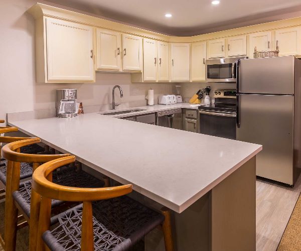 Four-Bedroom Premier Condo