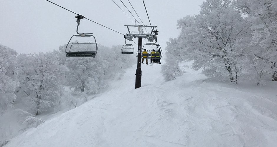 Nozawa has many powder days! Photo: Scout