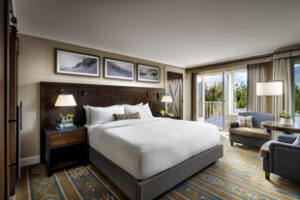 One-Bedroom Valley View Suite