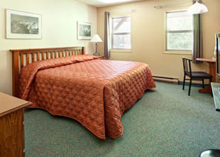 Hotel Room - 1 Queen
