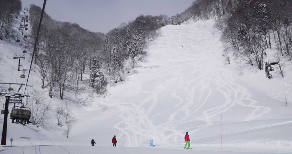 Myoko on a powder day. Photo: Scout