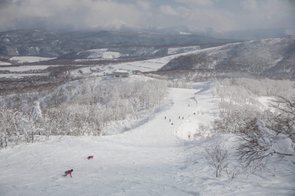 Long thigh burning runs. Photo: Rusutsu Ski Resort