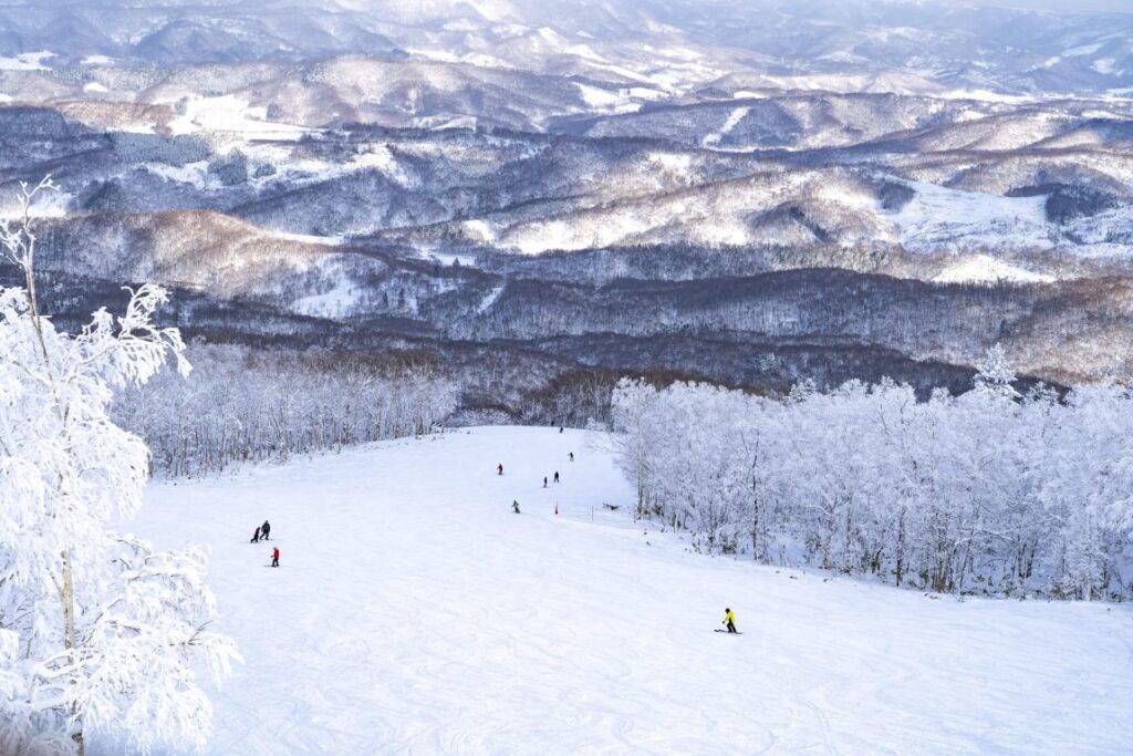 Wide open groomers. Photo: Rusutsu Ski Resort