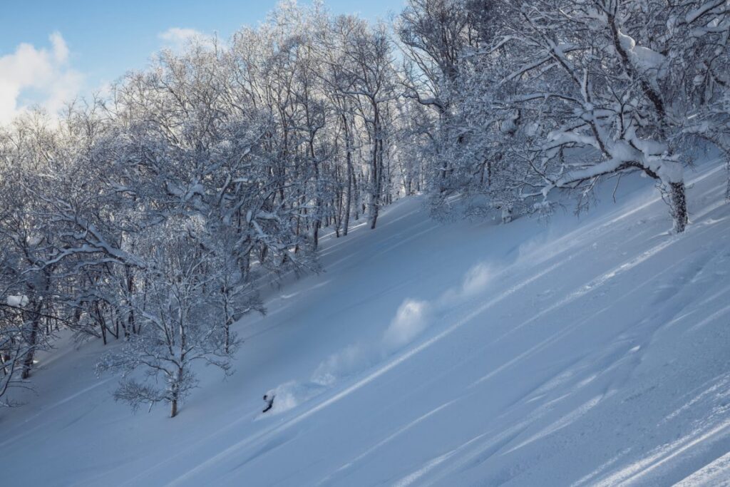 There are some awesome gladed tree runs. Photo: Rusutsu Ski Resort